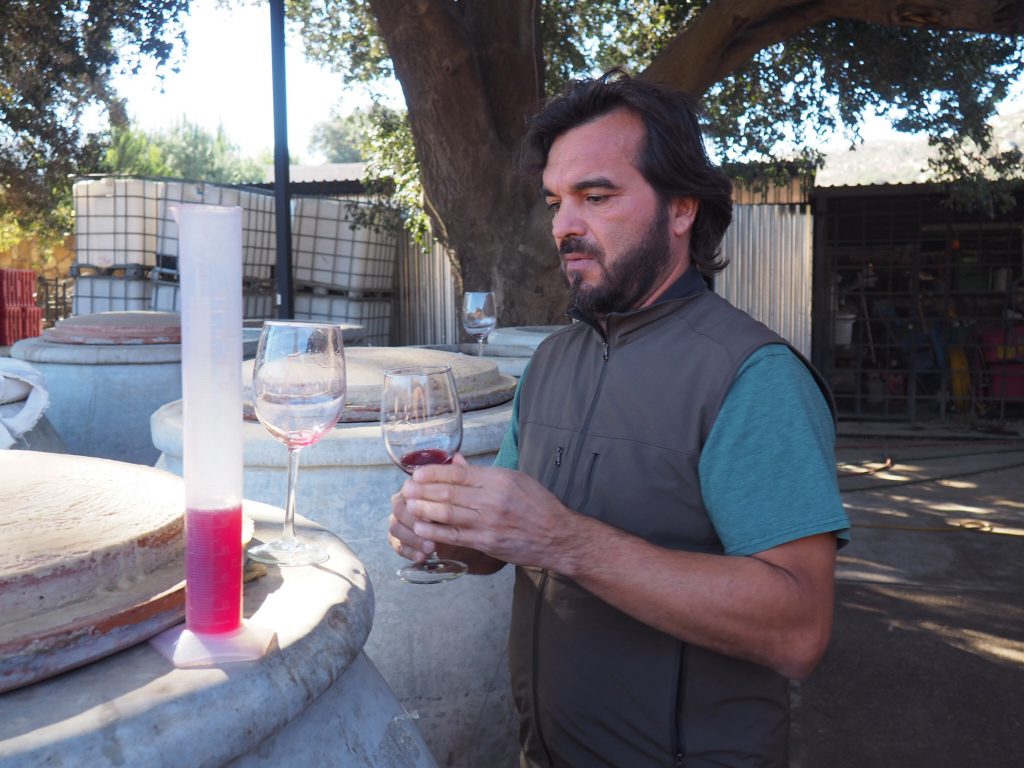 jackie bryant natural wine mexico