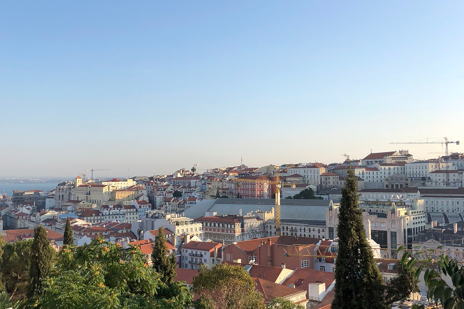 lisbon portugal natural wine guide